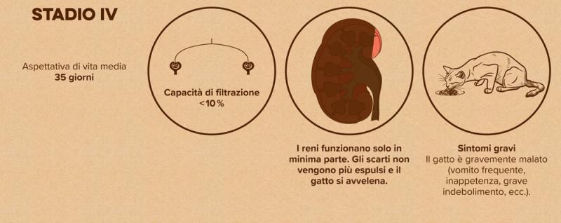 Diagramma: Stadio 4 della malattia renale nei gatti